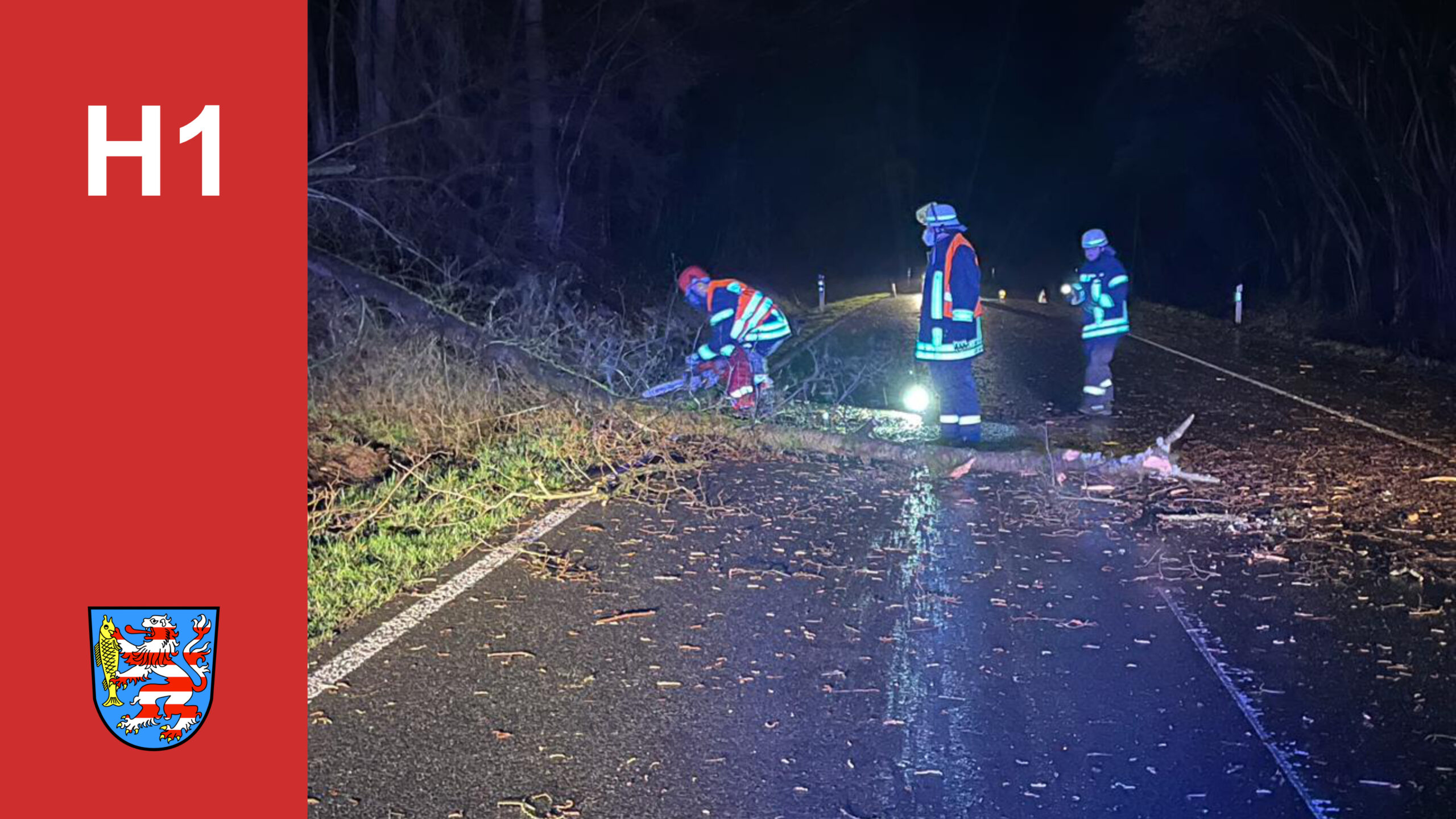 Einsatz, Baum auf Straße 17.02.2022