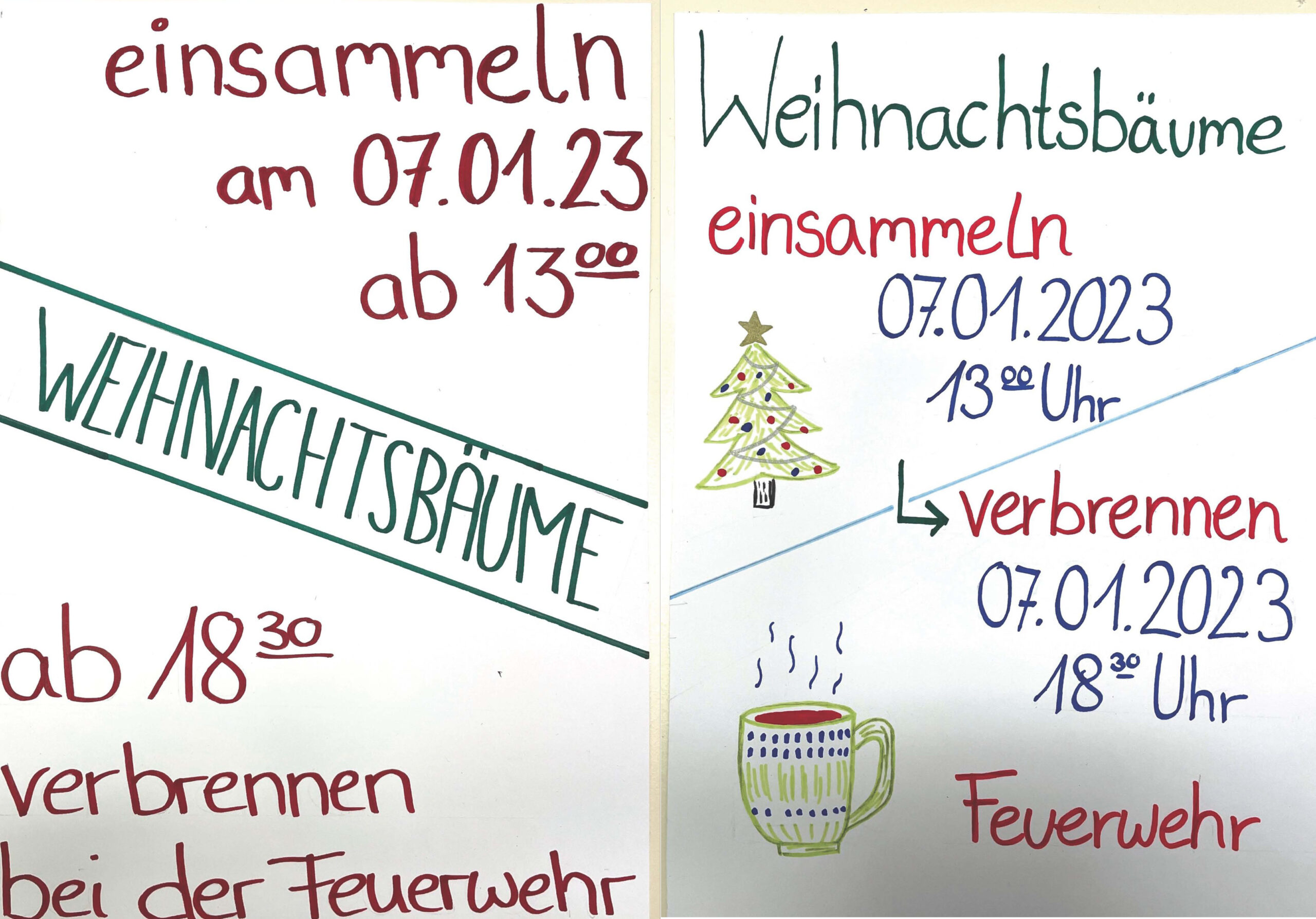 Weihnachtsbäume einsammeln