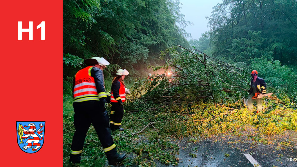 Einsatz, Baum auf Straße, 22.06.2023