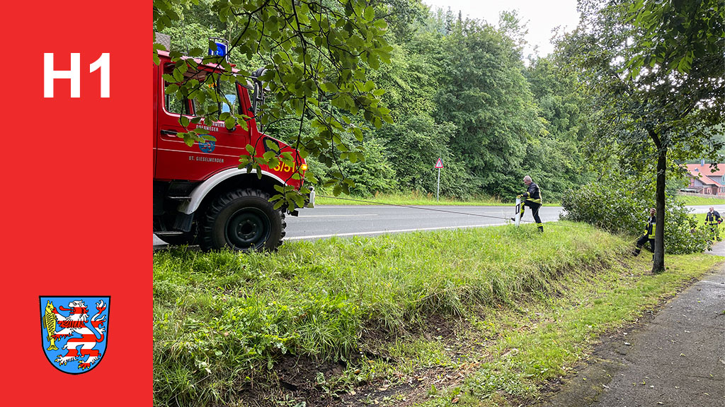 Einsatz, Baum auf Straße, 24.07.2023